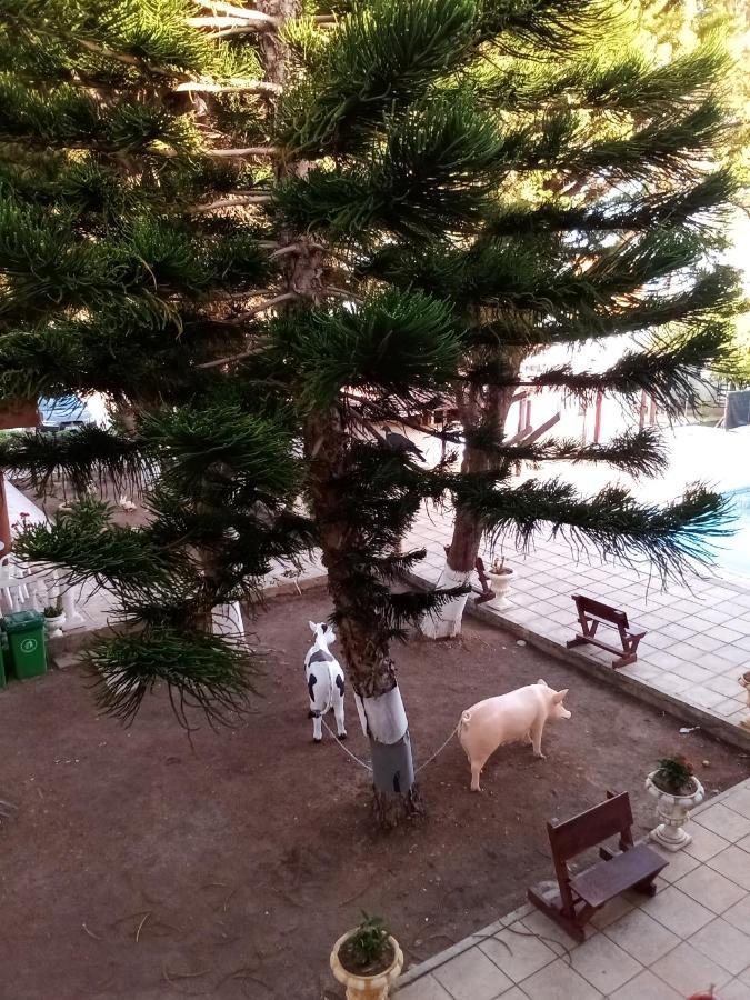 Anastasia Holiday Apartments Пафос Екстериор снимка